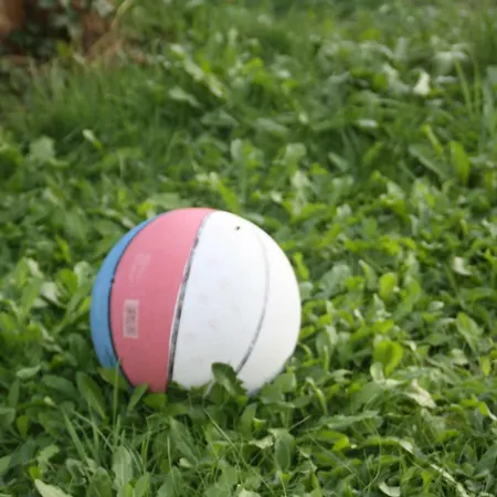 Jawa Organik Διαμέρισμα *